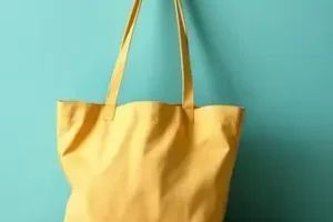 Bolsa Família