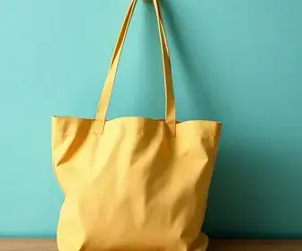 Bolsa Família